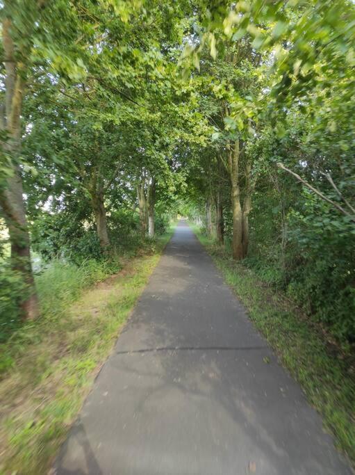 Storchennest - Ferienwohnung Am Storchenradweg Ketzür Exterior foto