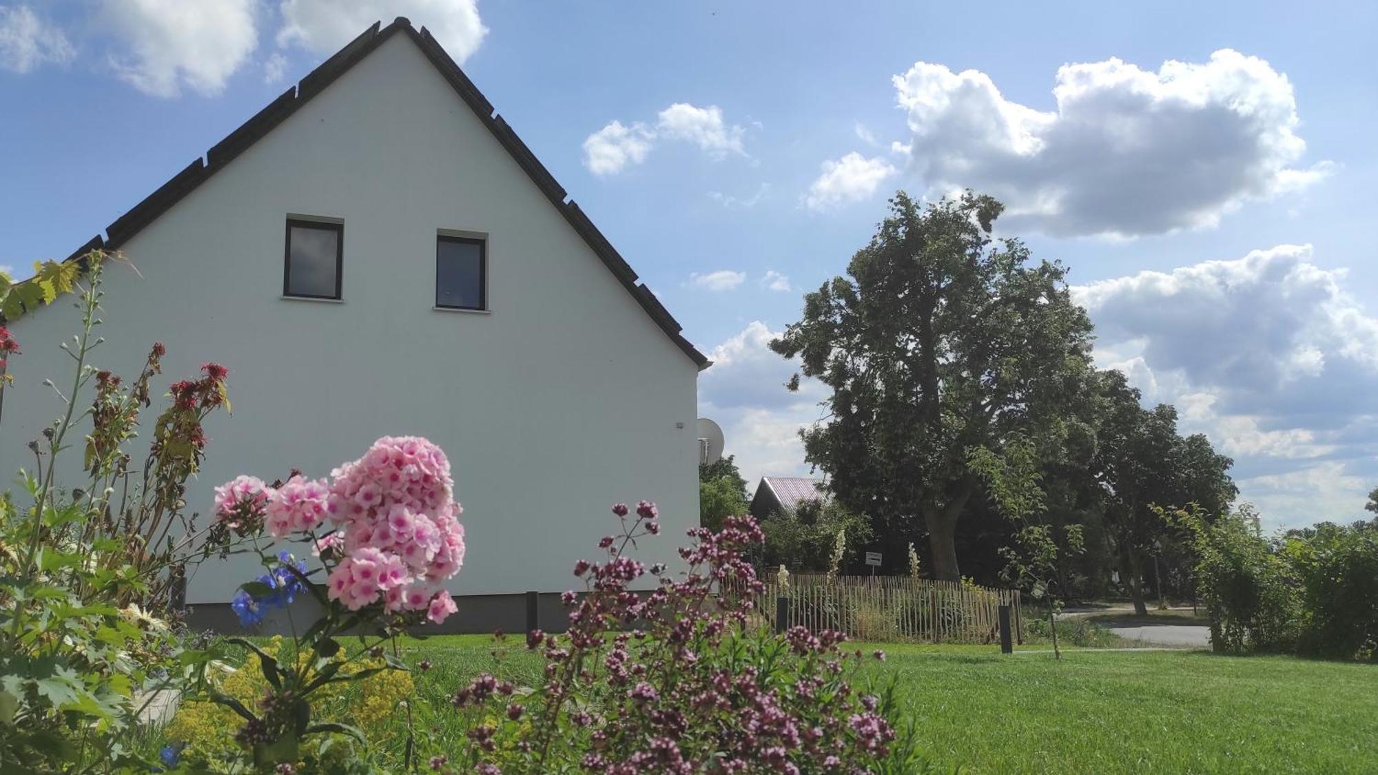 Storchennest - Ferienwohnung Am Storchenradweg Ketzür Exterior foto