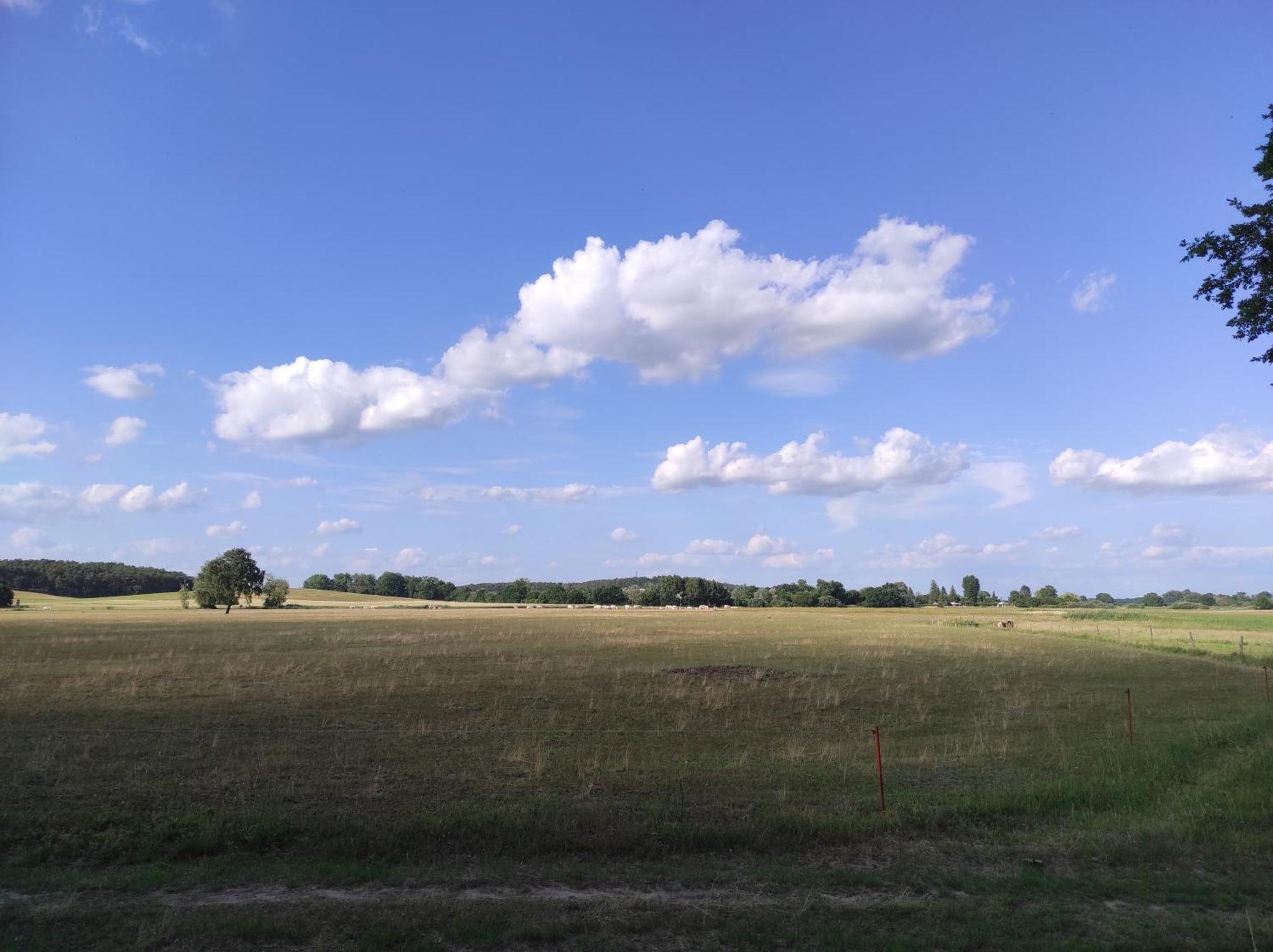 Storchennest - Ferienwohnung Am Storchenradweg Ketzür Exterior foto