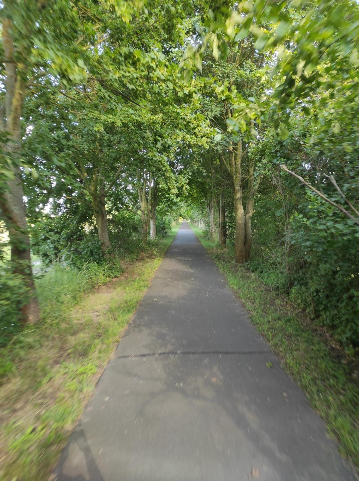 Storchennest - Ferienwohnung Am Storchenradweg Ketzür Exterior foto